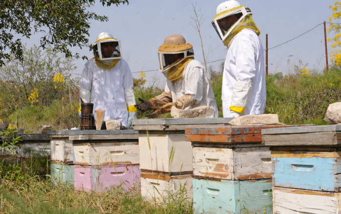 facts&answers 3 beekeepers year 1000x630
