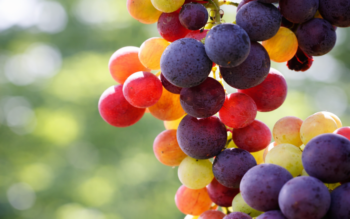 facts&answers 6 antioxidants 1000x630