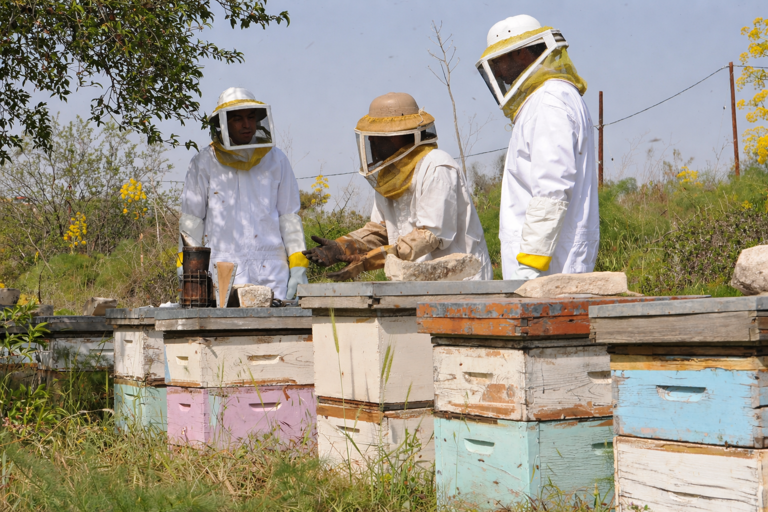 facts&answers 3 beekeepers year 1000x630